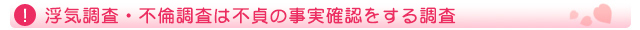 浮気調査・不倫調査は不貞の事実確認をする調査