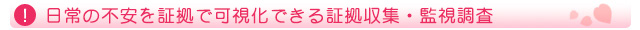 日常の不安を証拠で可視化できる証拠収集・監視調査