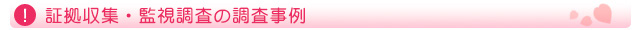 証拠収集・監視調査の調査事例