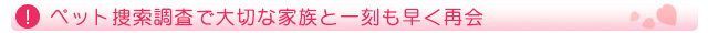 ペット捜索調査で大切な家族と一刻も早く再会