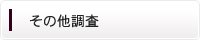その他の調査