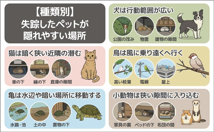 【種類別】自力でペットを捜索するコツ