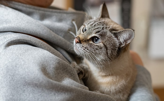 近隣住民や第三者に保護されている