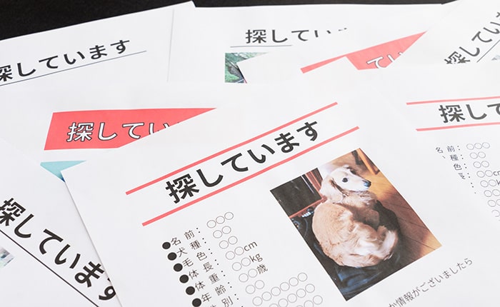 捜索から数日経っても有力な情報が一切ない場合