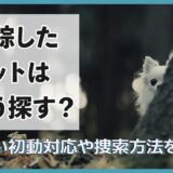 失踪したペットはどう探す？正しい初動対応や捜索方法を解説
