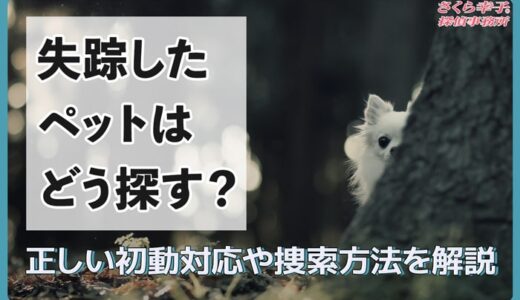 失踪したペットはどう探す？正しい初動対応や捜索方法を解説