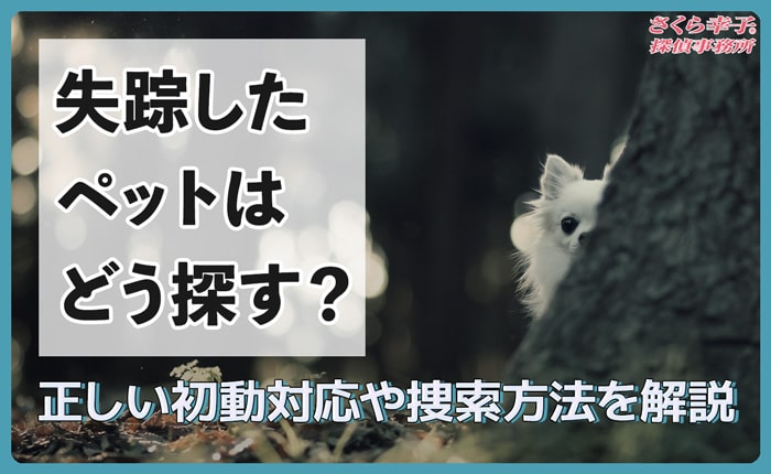 失踪したペットはどう探す？正しい初動対応や捜索方法を解説