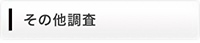 その他調査