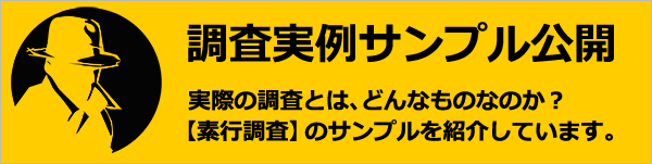 素行調査実例サンプル